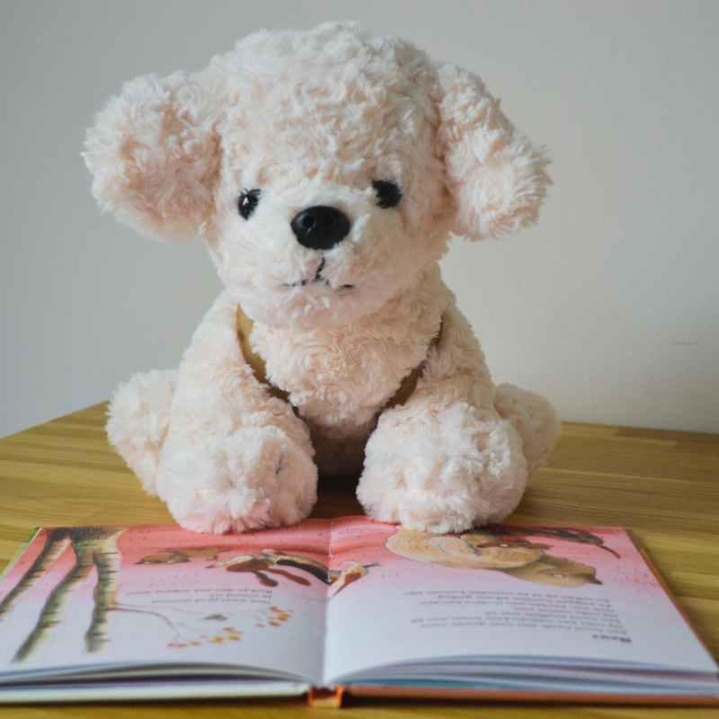 Knuffelhond leest boek